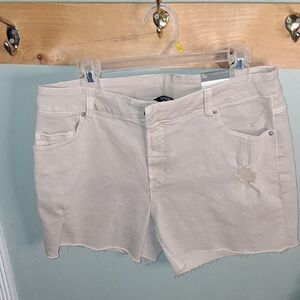 Chic Cream Jean Shorts for Women